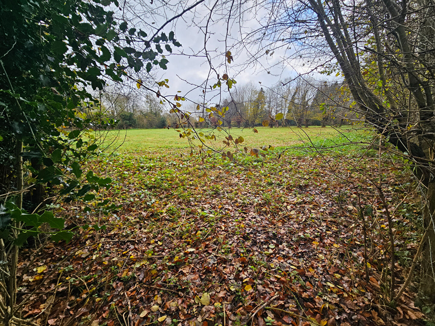 Photo BARVILLE - terrain constructible - 3' Thiberville - 15' LISIEUX/Sncf image 4/5