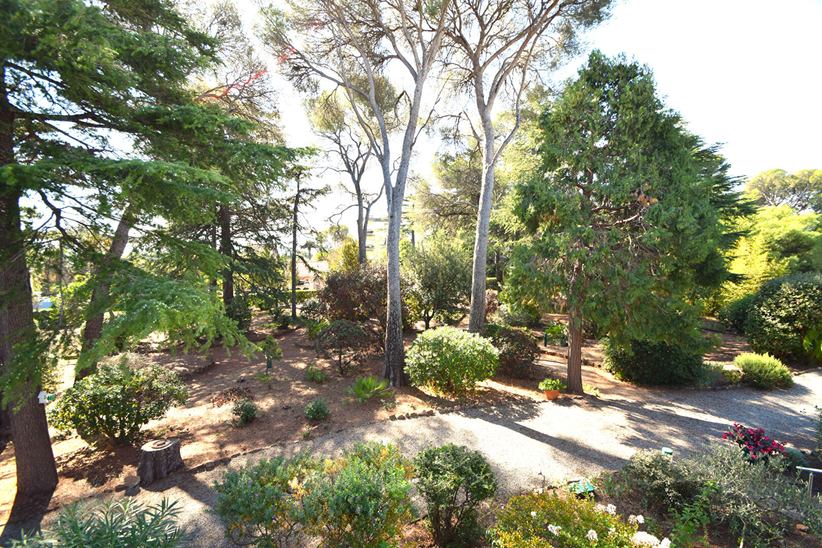 Photo APPARTEMENT Boulouris - 2 pièce(s) - 41m2 image 5/6