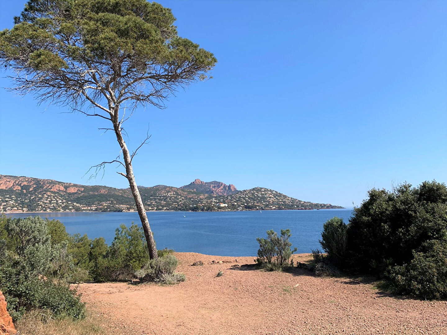 Photo Roof Top d'Exception avec vue Mer panoramique image 2/3