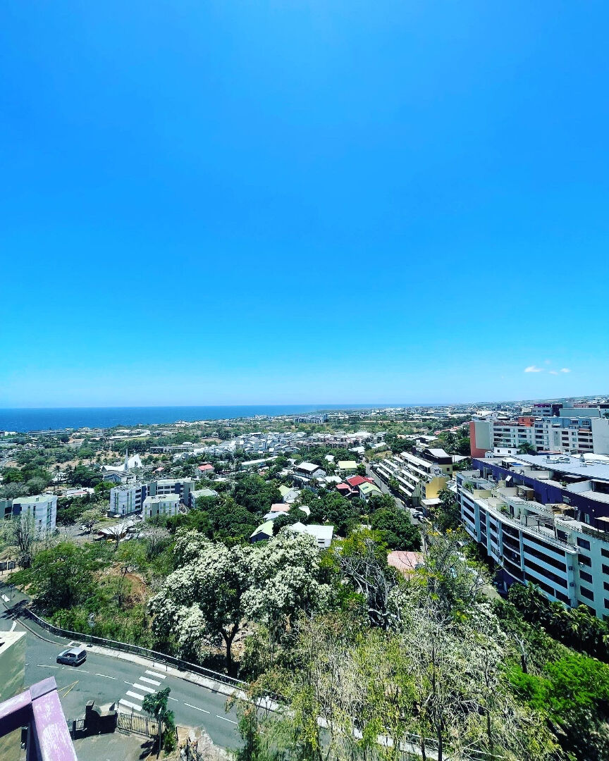 T5 DUPLEX  ATYPIQUE VUE PANORAMIQUE SAINT DENIS - 180 m2