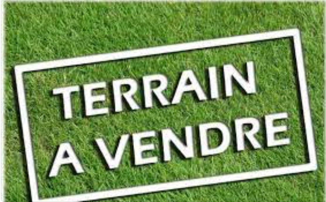 Agence immobilière de Montfort L'Amaury Immobilier - Montfort L'Amaury Immobilier