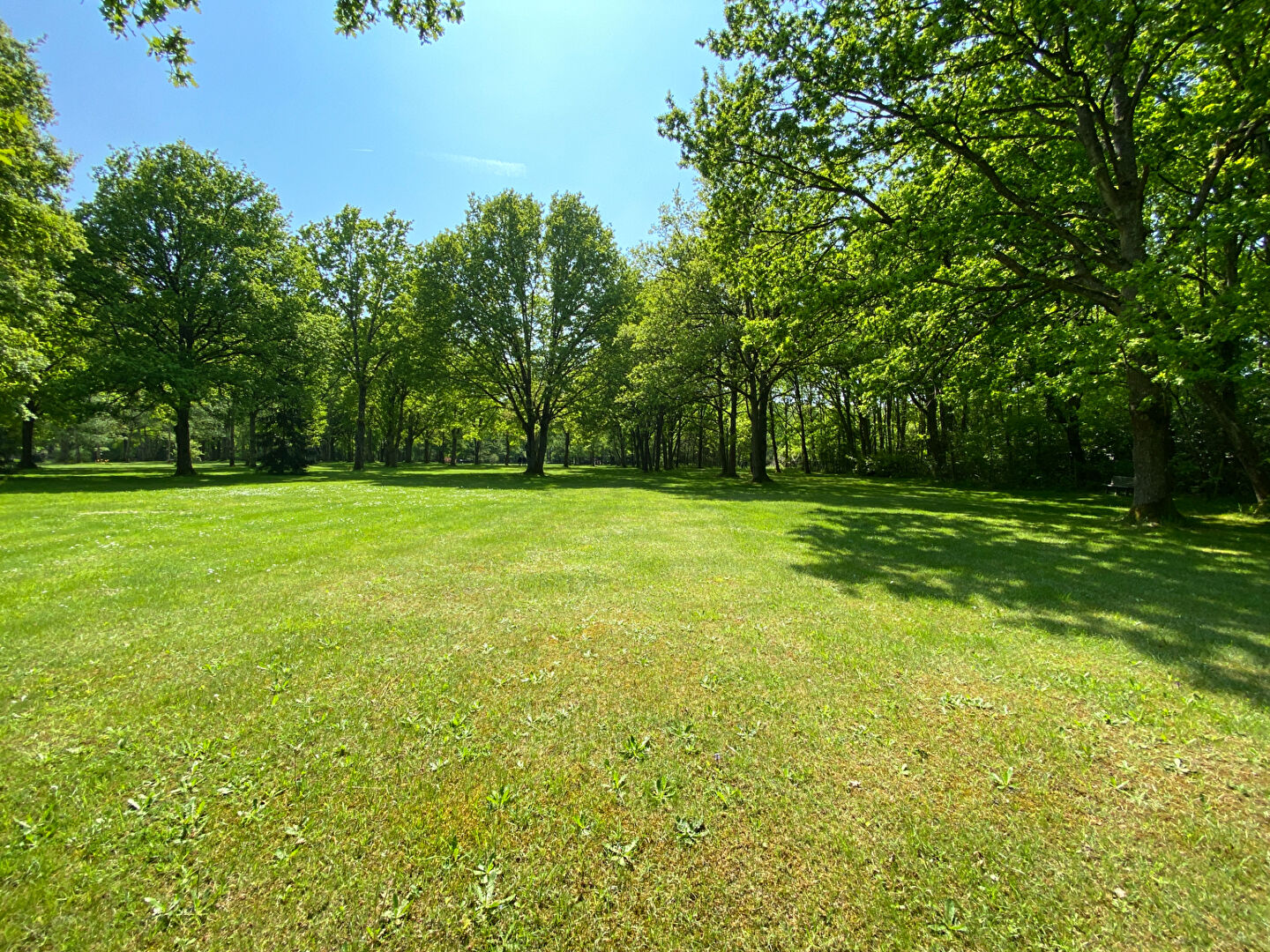 Agence immobilière de Montfort L'Amaury Immobilier - Montfort L'Amaury Immobilier