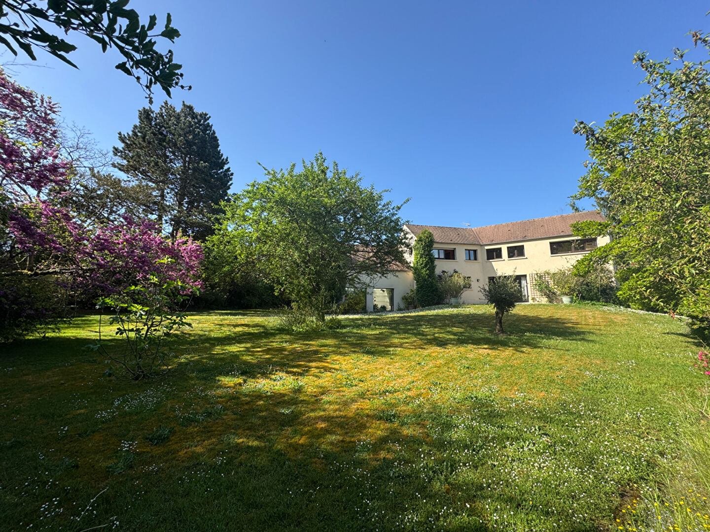 Agence immobilière de Montfort L'Amaury Immobilier - Montfort L'Amaury Immobilier