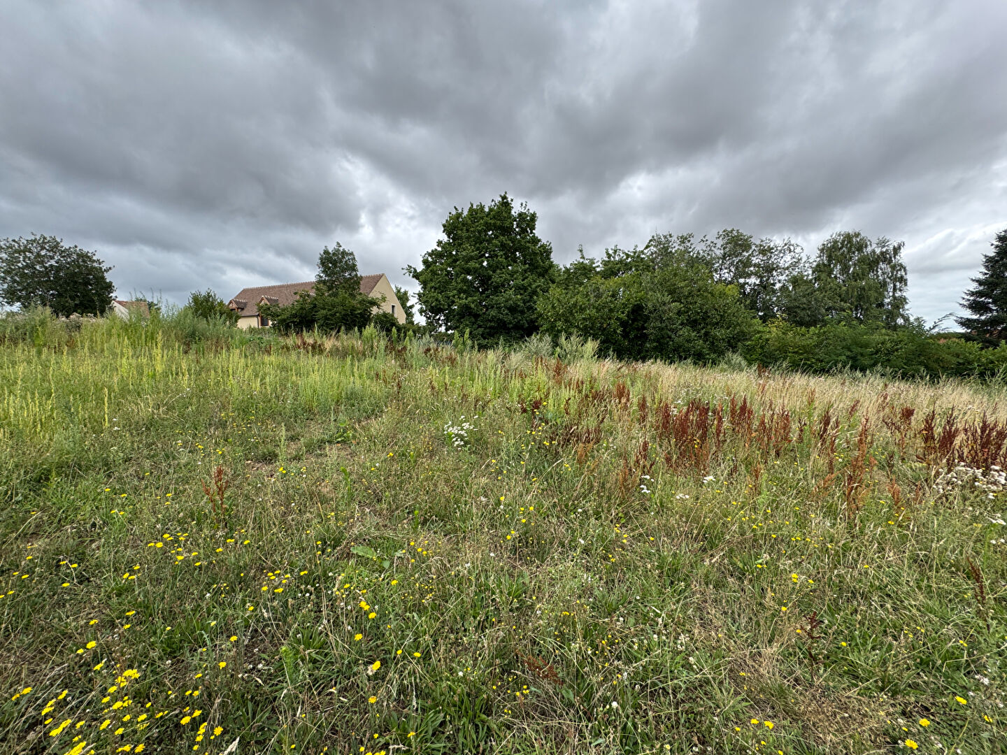 Très beau terrain constructible Bazoches Sur Guyonne 1685 m2