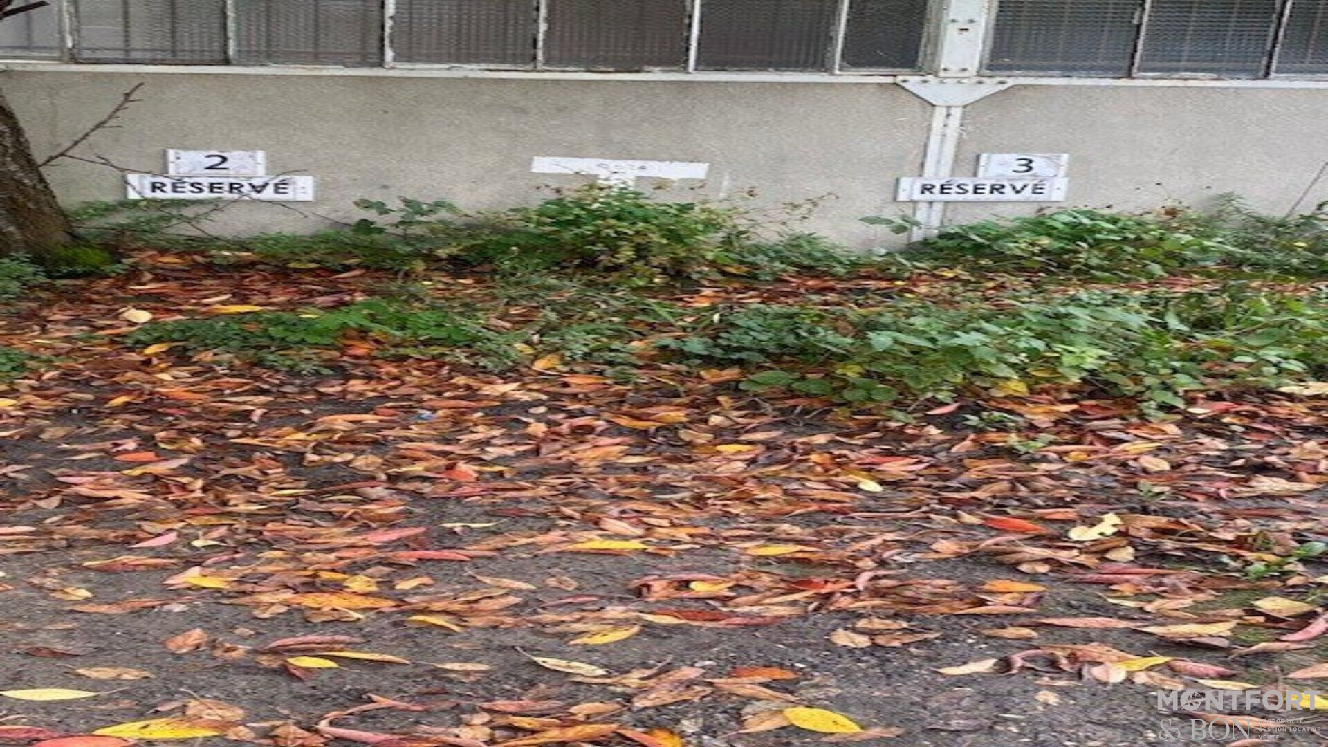 Agence immobilière de Montfort Transactions Paris - Montfort Transactions