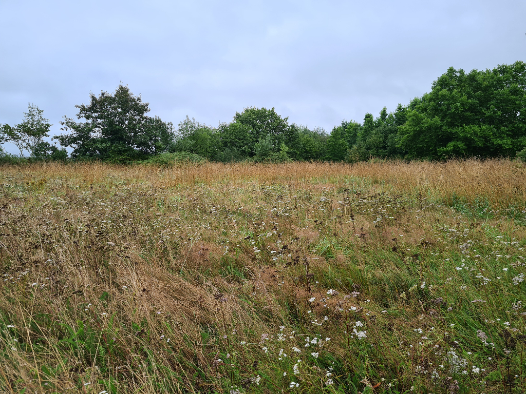 Photo Terrain Montpon Menesterol 3500 m2 image 2/2