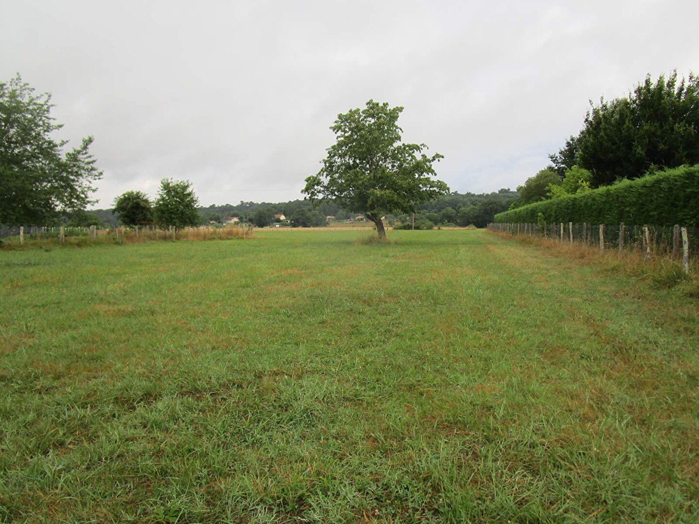 Terrain Montpon Menesterol 1500 m2