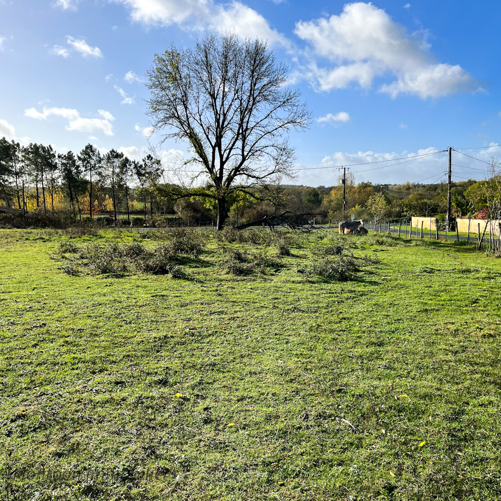 Agence immobilière de MONTPON IMMOBILIER - MONTPON IMMOBILIER - Agence de Montpon Ménestérol