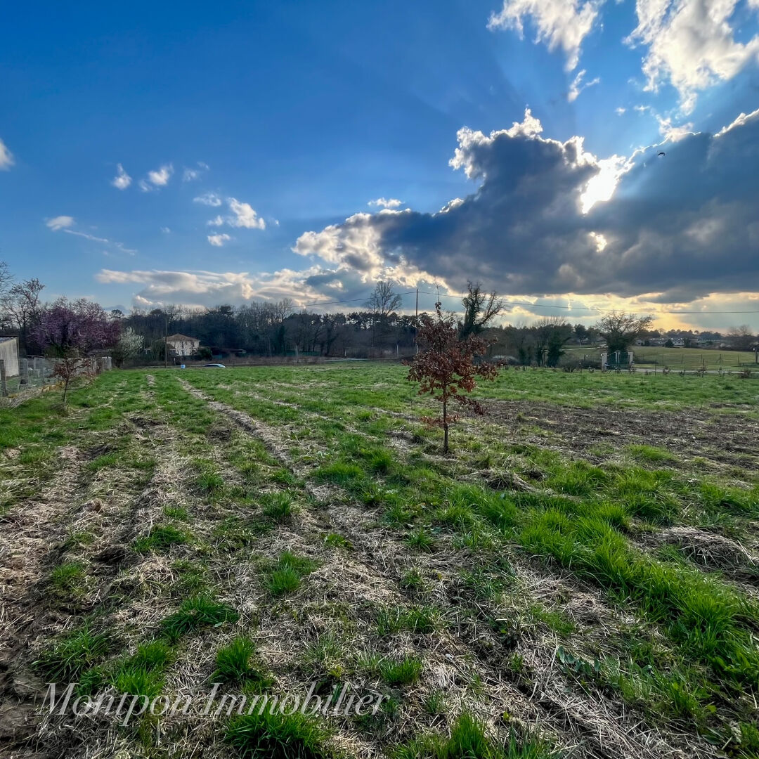 Photo Terrain Montpon Menesterol 1920 m2 image 2/3