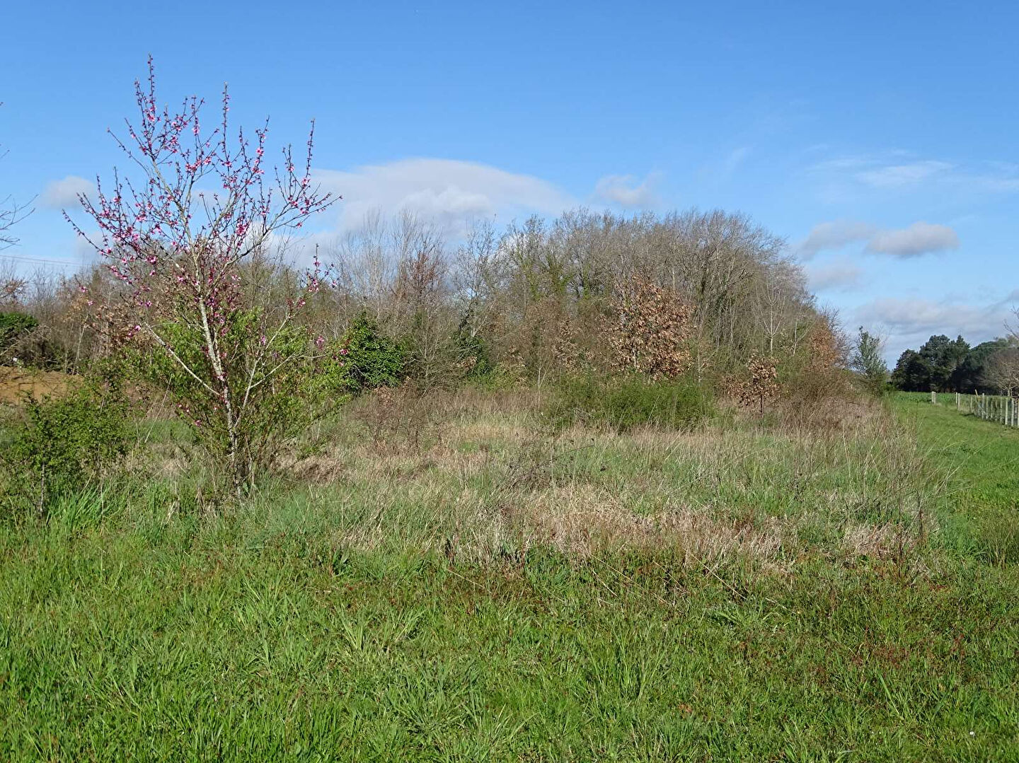 Terrain Saint Médard De Mussidan 2745 m2