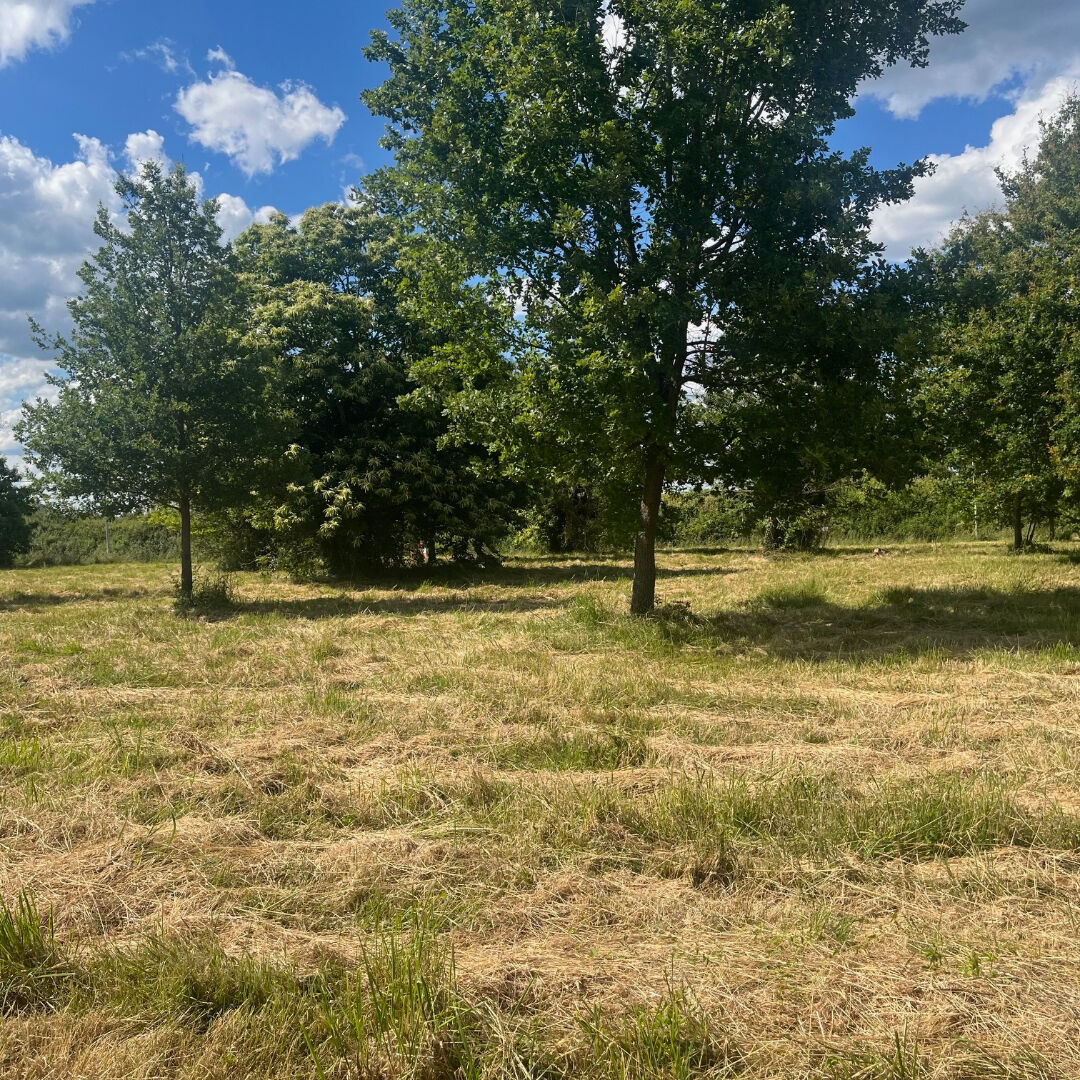 Photo Terrain Montpon Menesterol 1678 m2 image 2/2