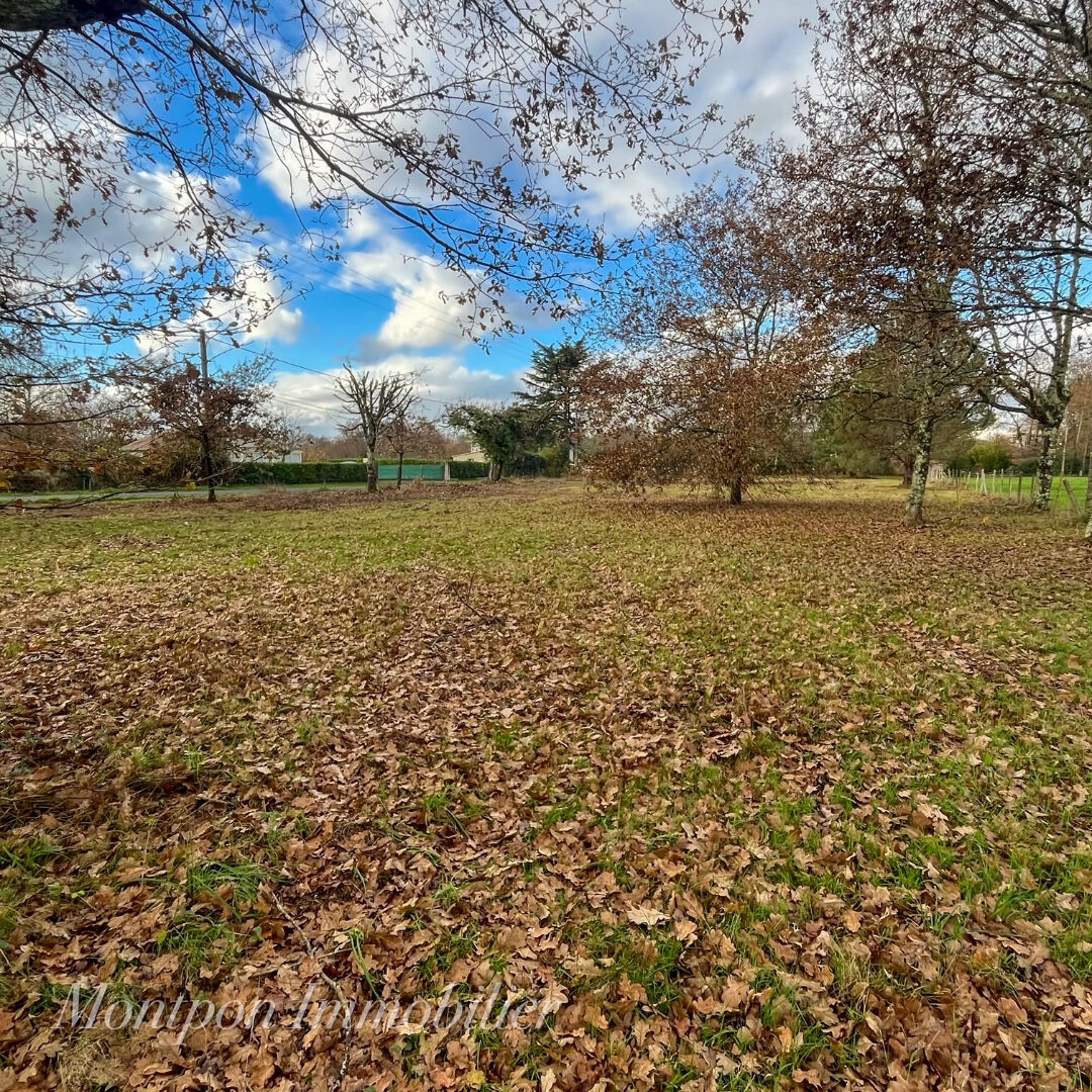 Photo Terrain Montpon Menesterol 2864 m2 dont 1340 m² constructible image 1/3