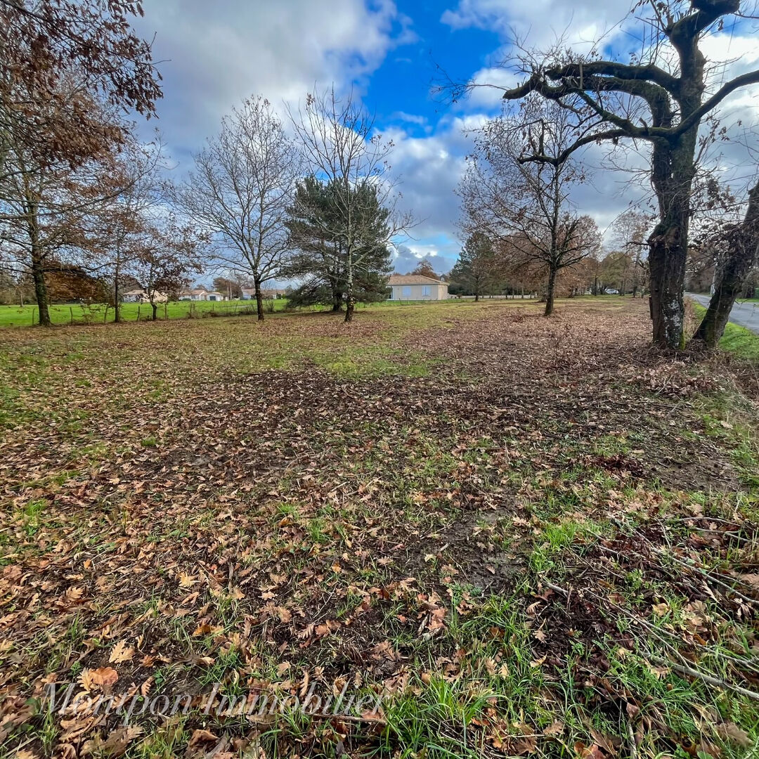 Photo Terrain Montpon Menesterol 2864 m2 dont 1340 m² constructible image 3/3