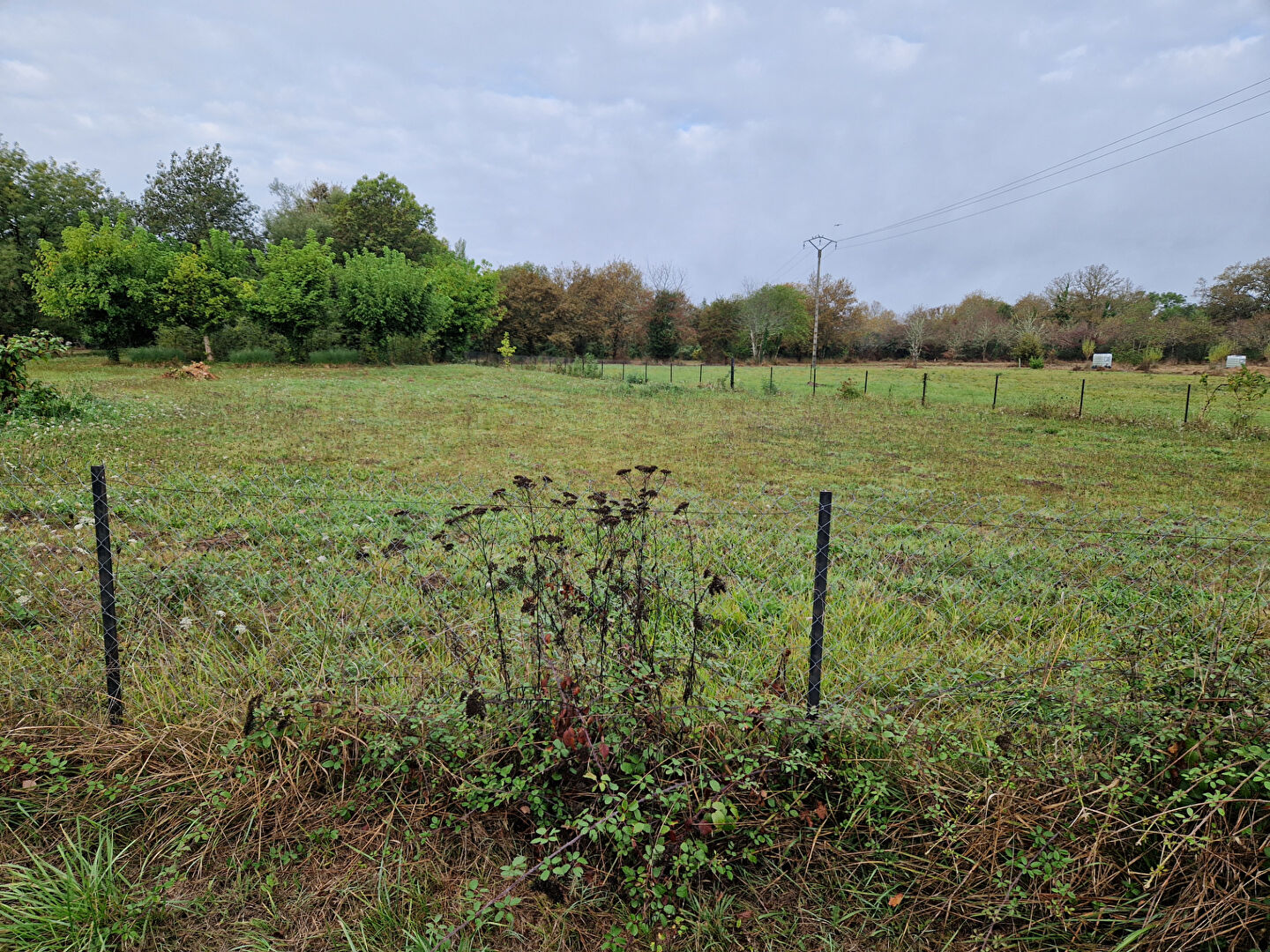 Photo Terrain Menesplet 1015 m2 image 2/2