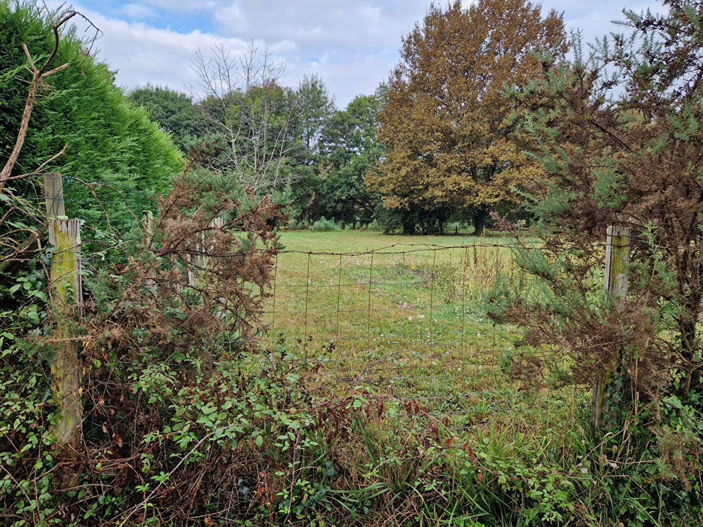 Photo Terrain Menesplet 1434 m2 image 1/3