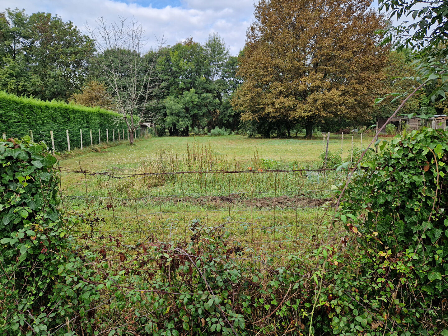 Photo Terrain Menesplet 1434 m2 image 2/3