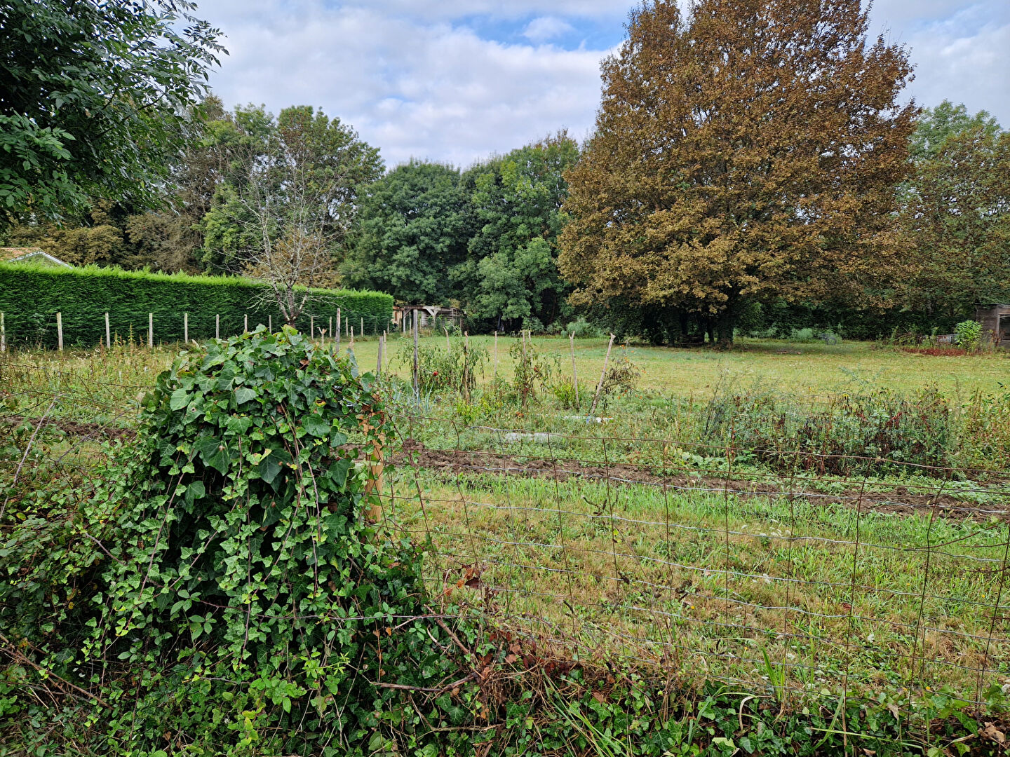 Photo Terrain Menesplet 1434 m2 image 3/3