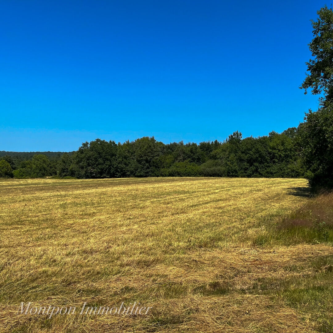 Terrain St Remy 9518 m2