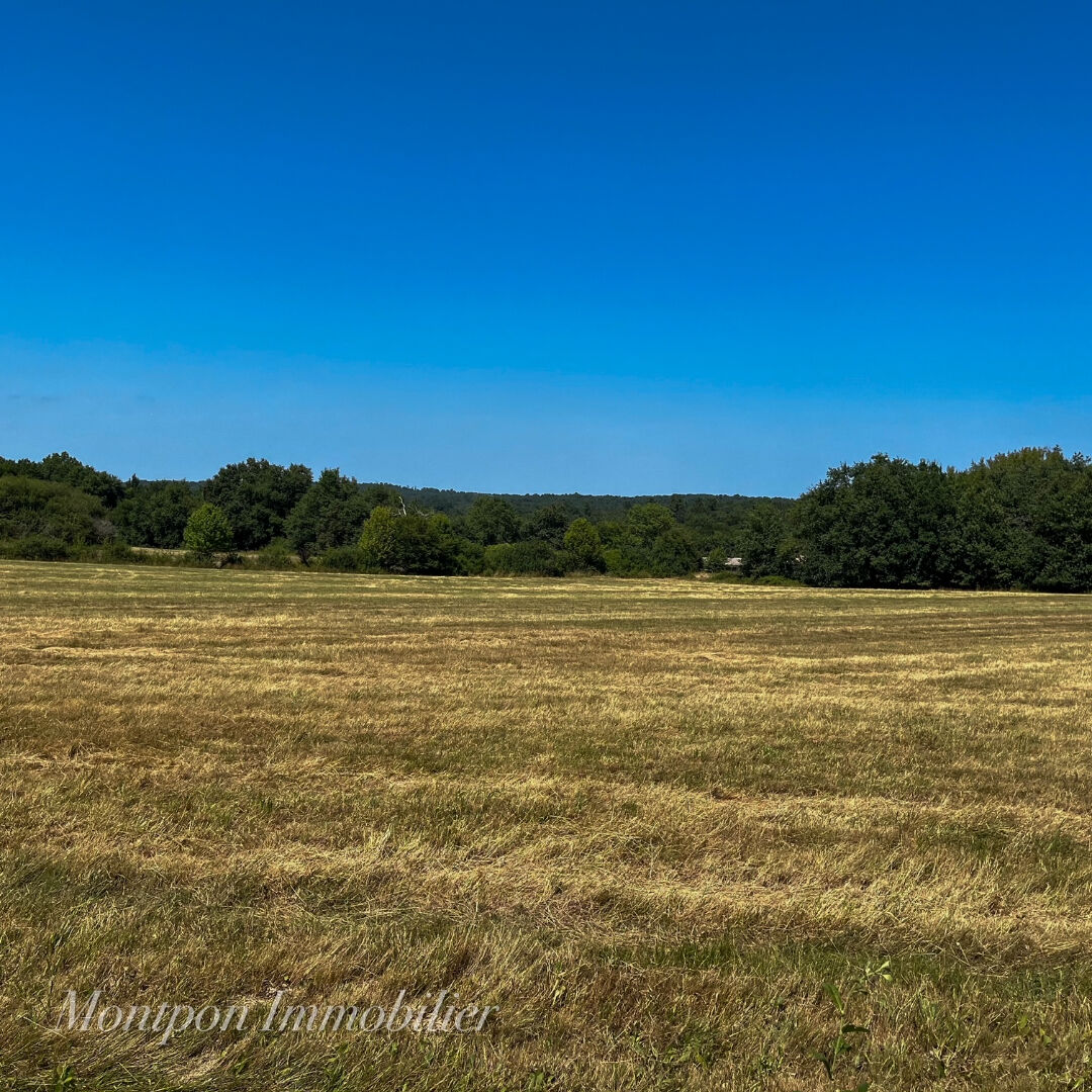 Photo Terrain St Remy 9518 m2 image 2/3