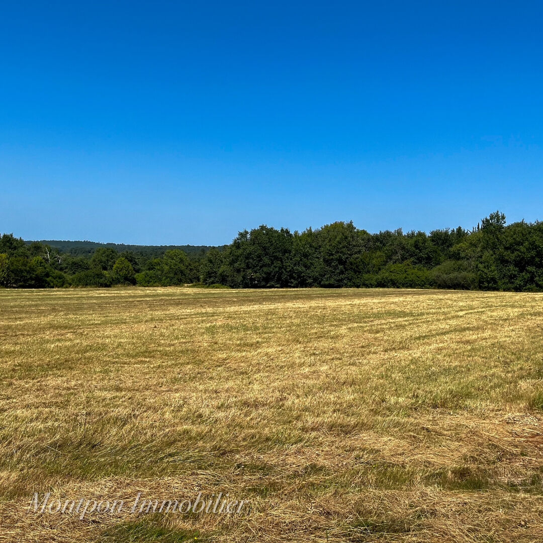 Photo Terrain St Remy 9518 m2 image 3/3