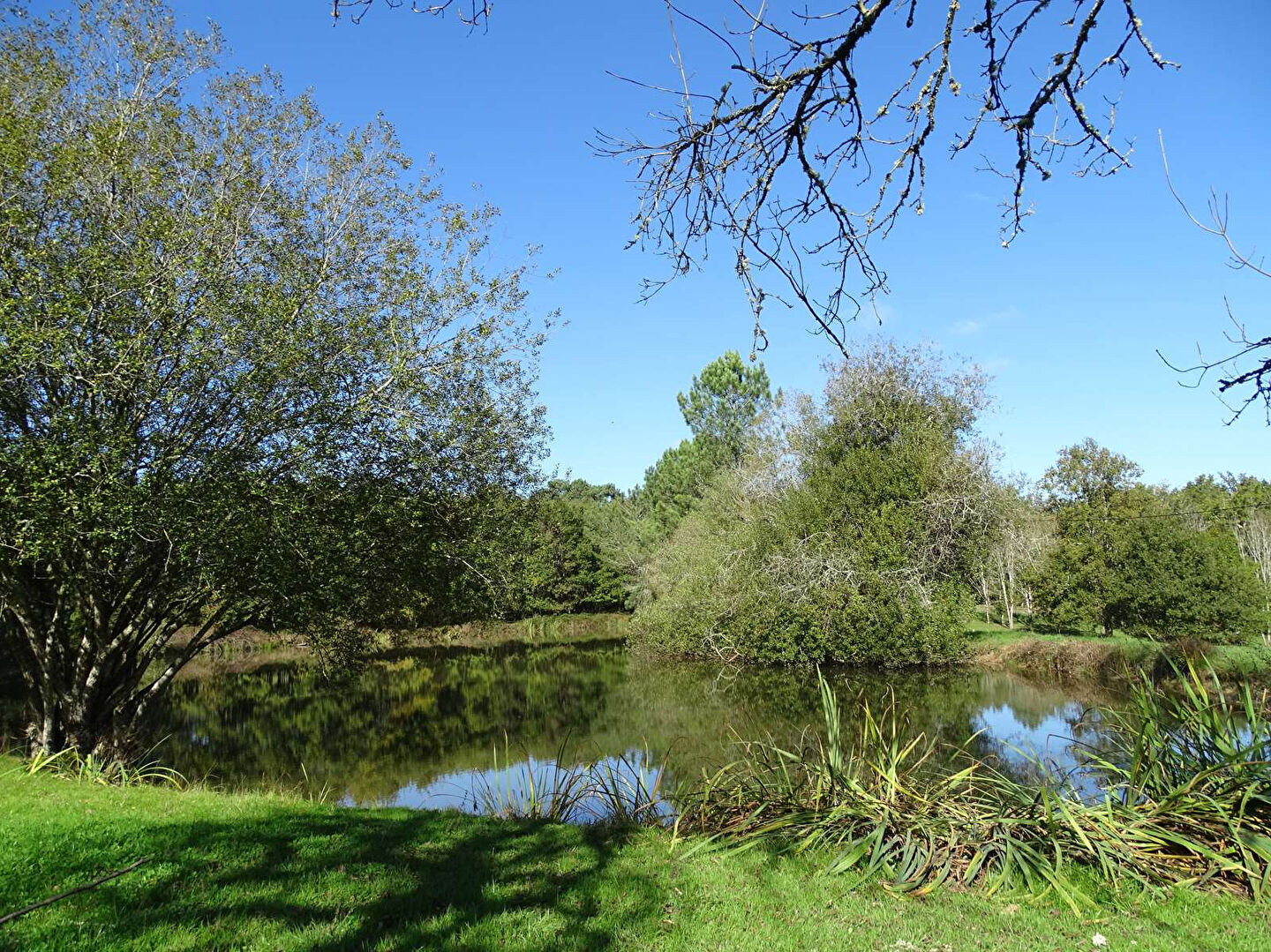 Photo Propriété Saint Etienne De Puycorbier 13 pièce(s) 373 m2 image 2/6