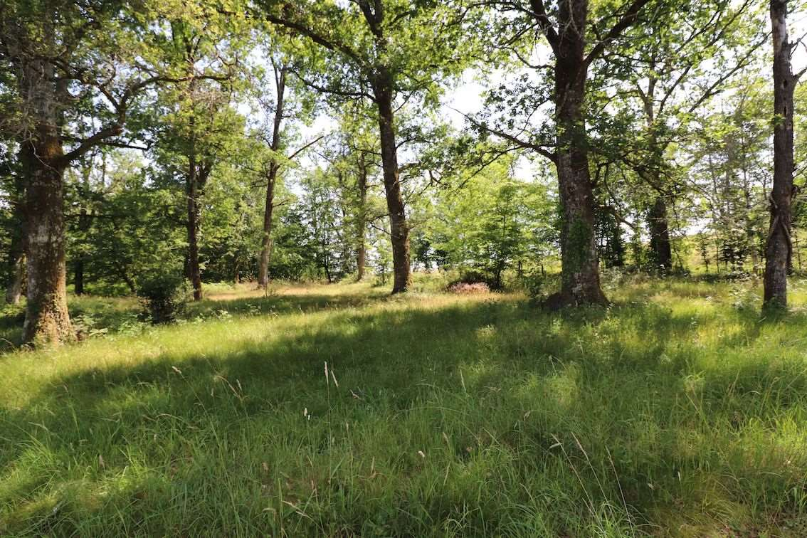 Photo Propriété Saint Etienne De Puycorbier 13 pièce(s) 373 m2 image 5/6