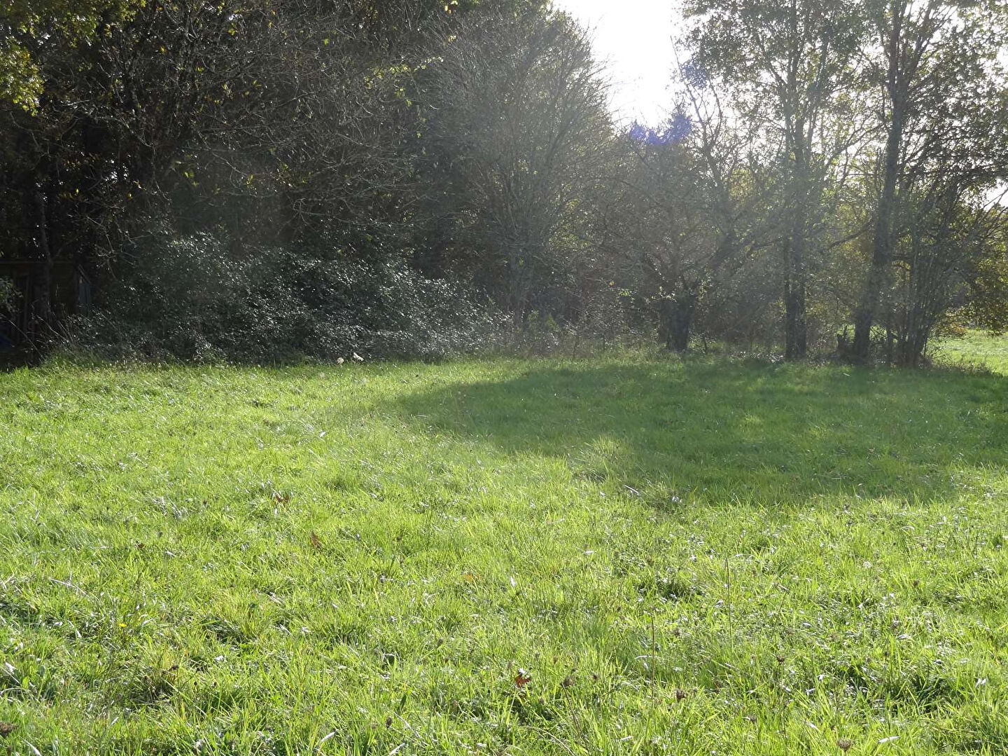 Photo Terrain Saint Front De Pradoux 1762 m2 image 1/5