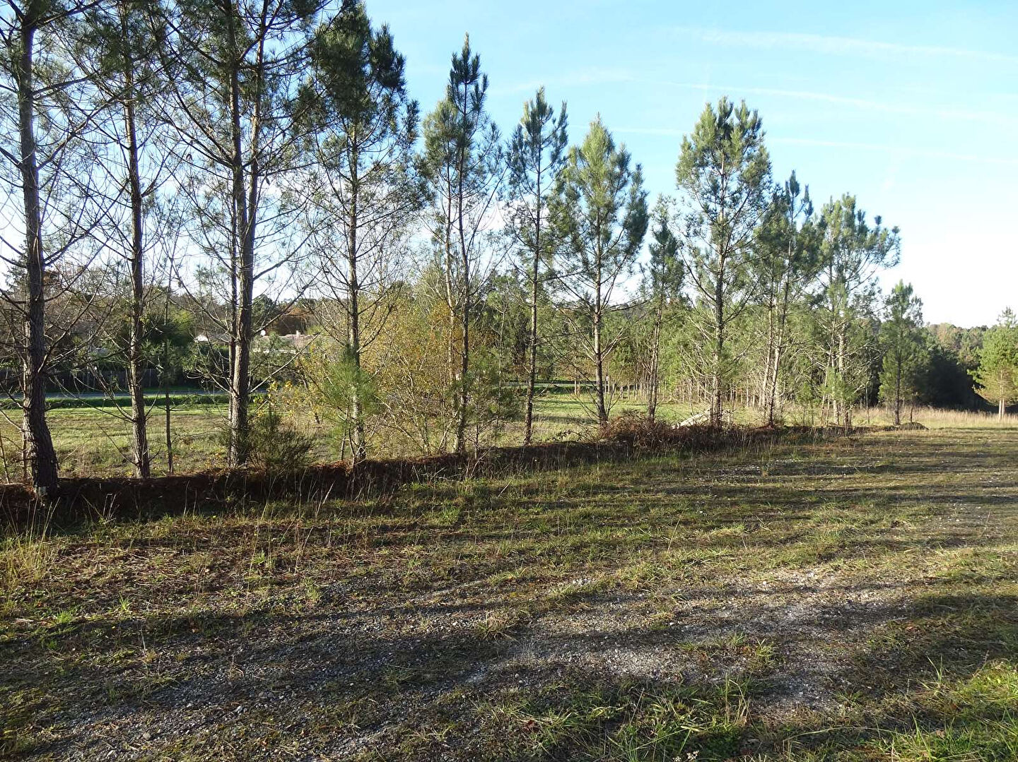 Photo Terrain Les Leches 3605 m2 image 3/5