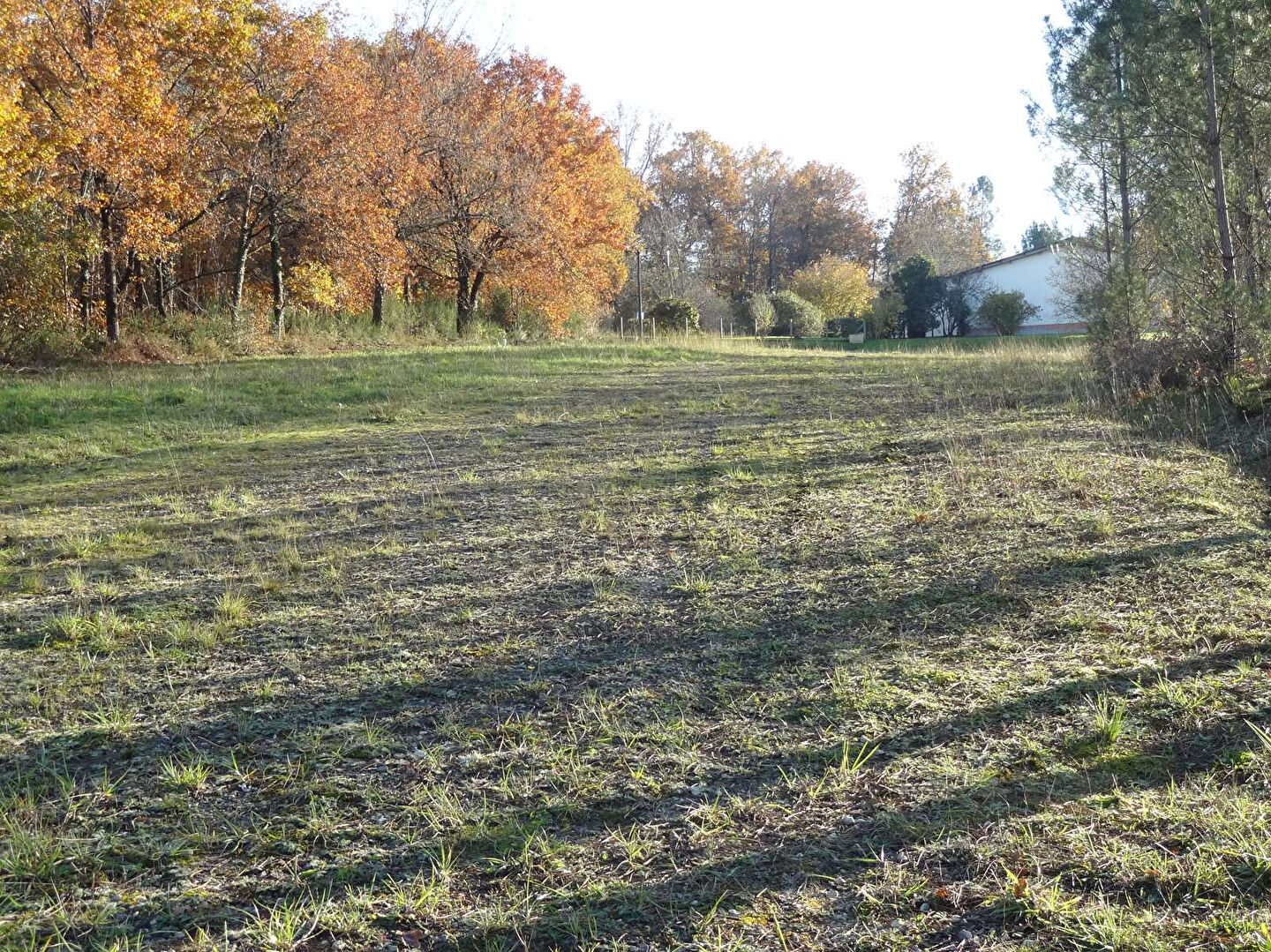 Photo Terrain Les Leches 3605 m2 image 5/5