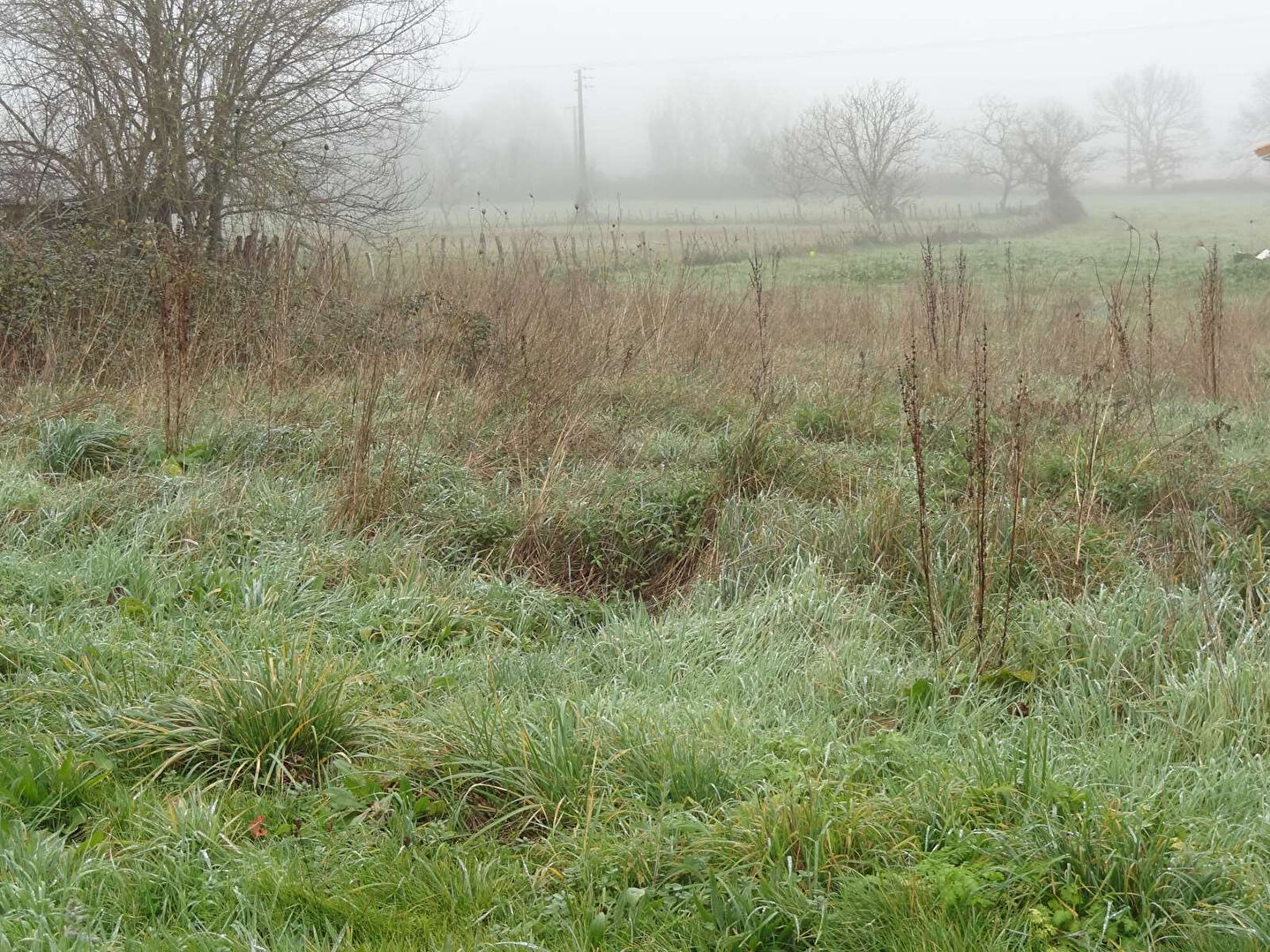 Photo Terrain Douzillac 1230 m2 image 3/5