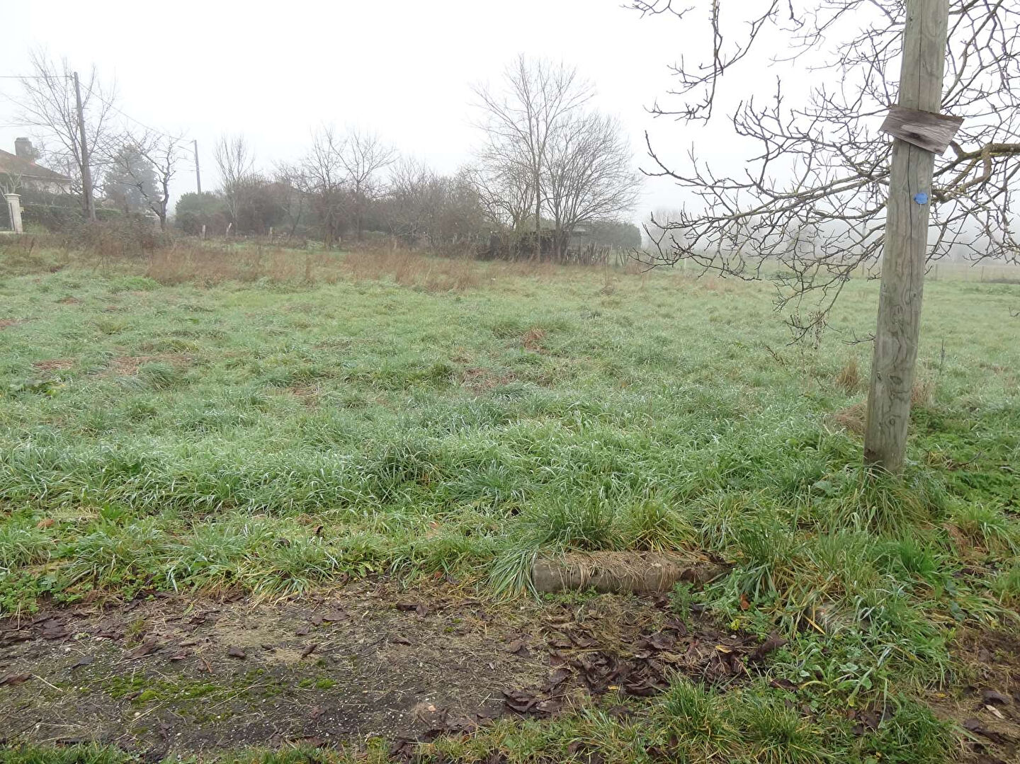 Photo Terrain Douzillac 1230 m2 image 5/5