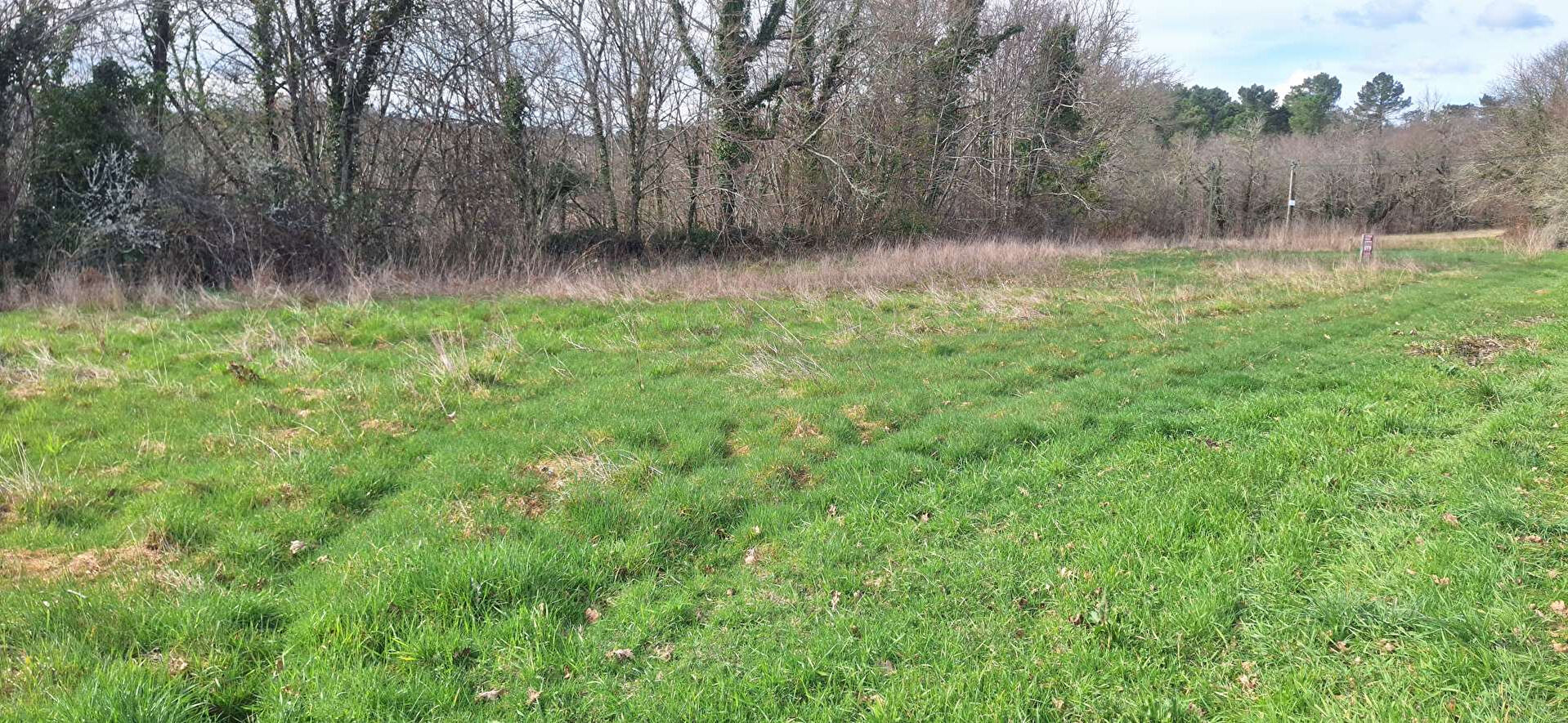 Photo Terrain Saint Front De Pradoux 1626 m2 image 2/4