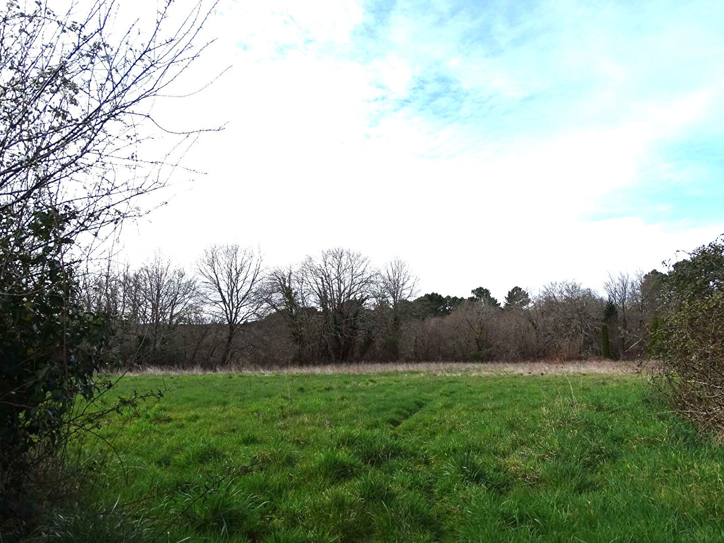 Terrain Saint Front De Pradoux 1283m²