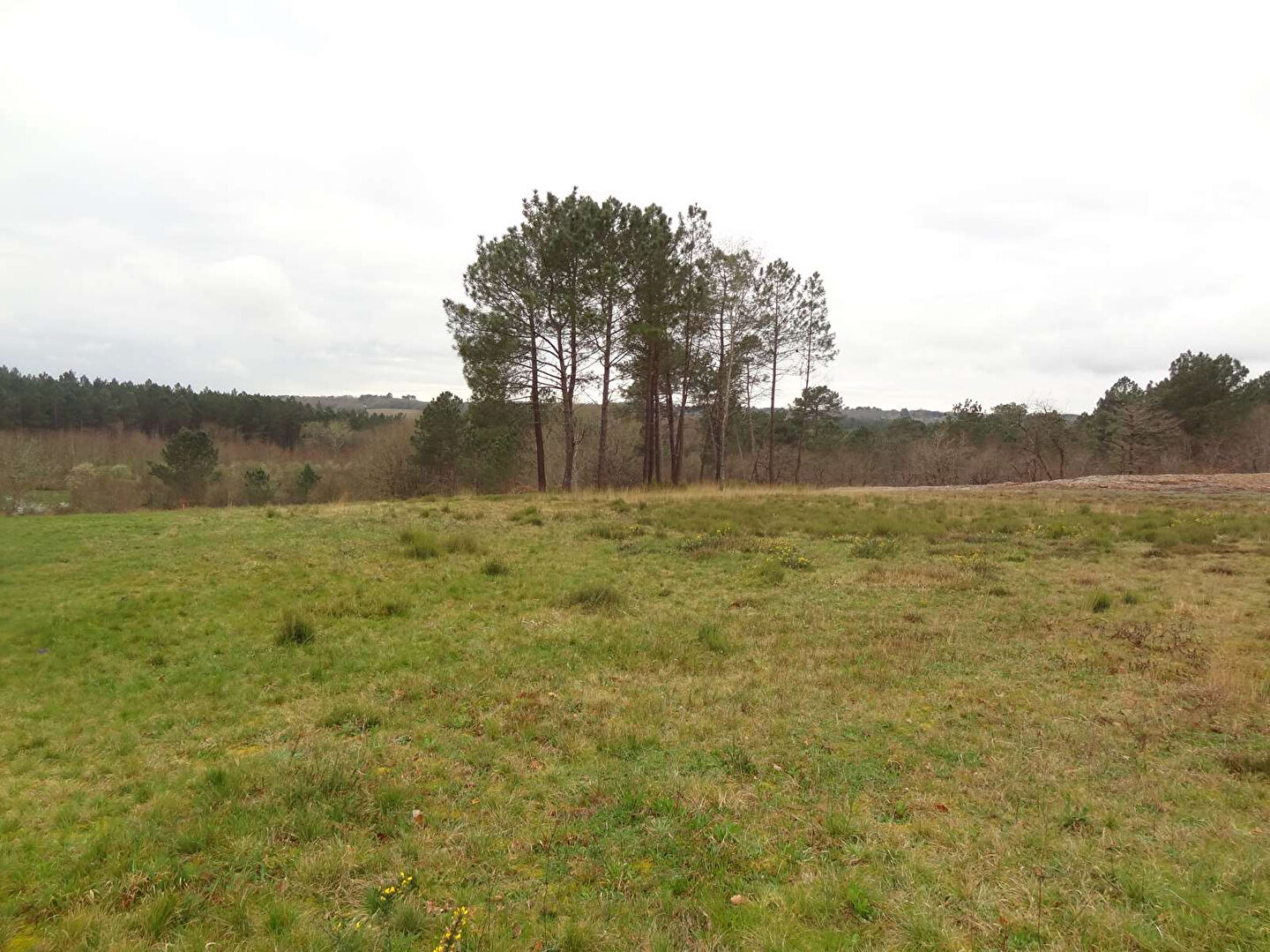 Terrain Beaupouyet 1657 m2