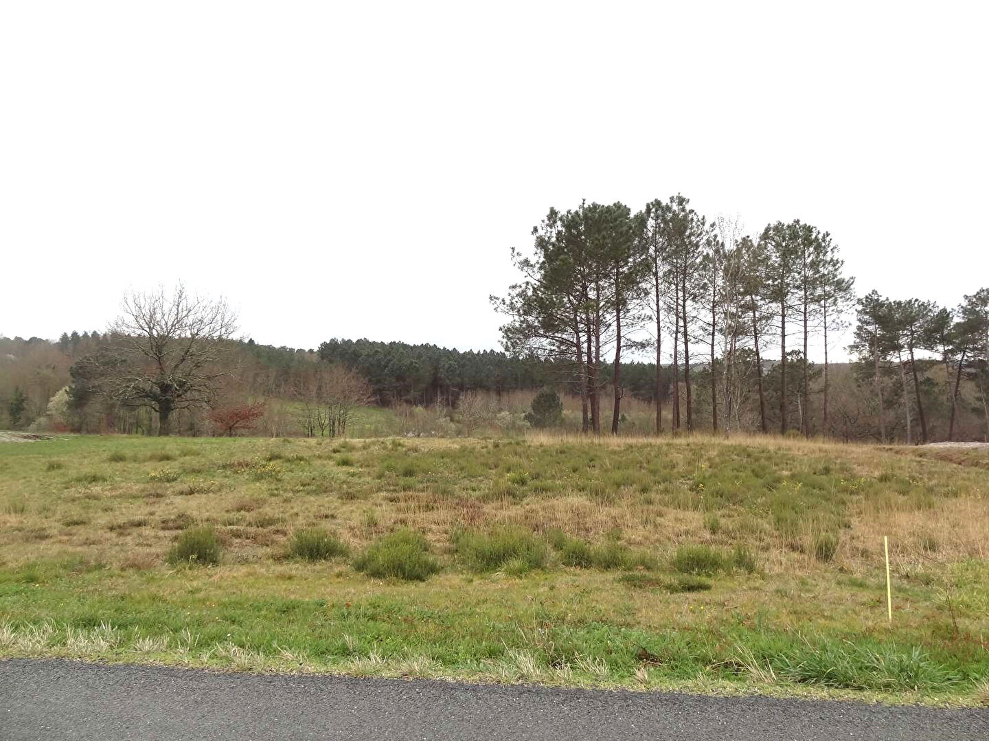 Photo Terrain Beaupouyet 1657 m2 image 2/5