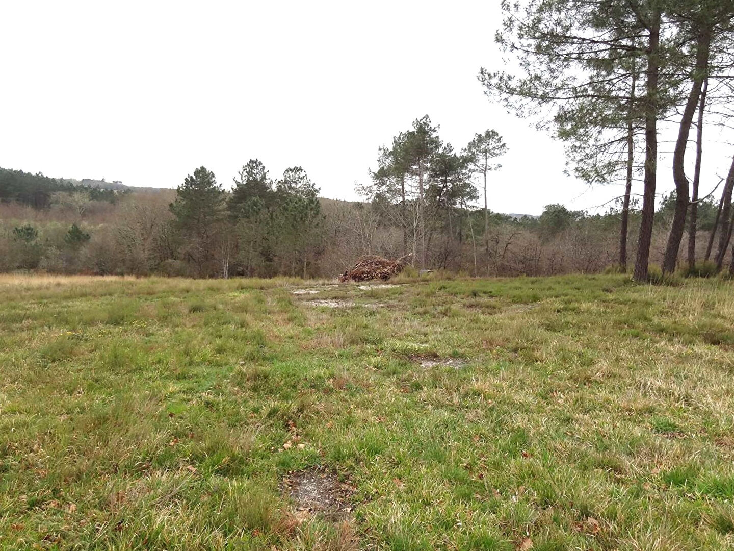 Photo Terrain Beaupouyet 1657 m2 image 3/5