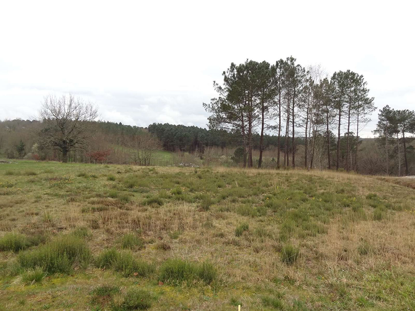 Photo Terrain Beaupouyet 1657 m2 image 4/5