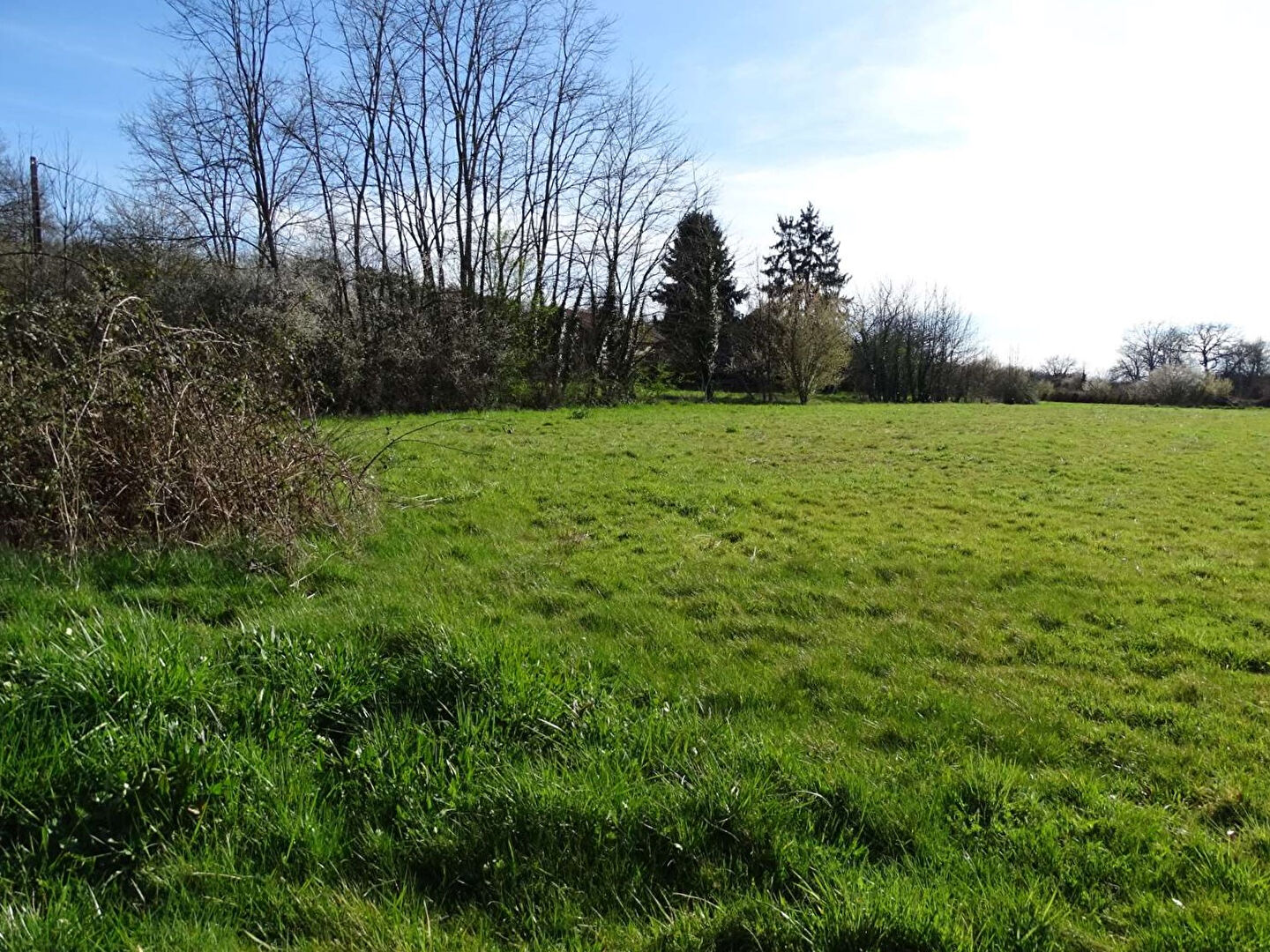 Photo Terrain Mussidan 1123 m2 image 3/4