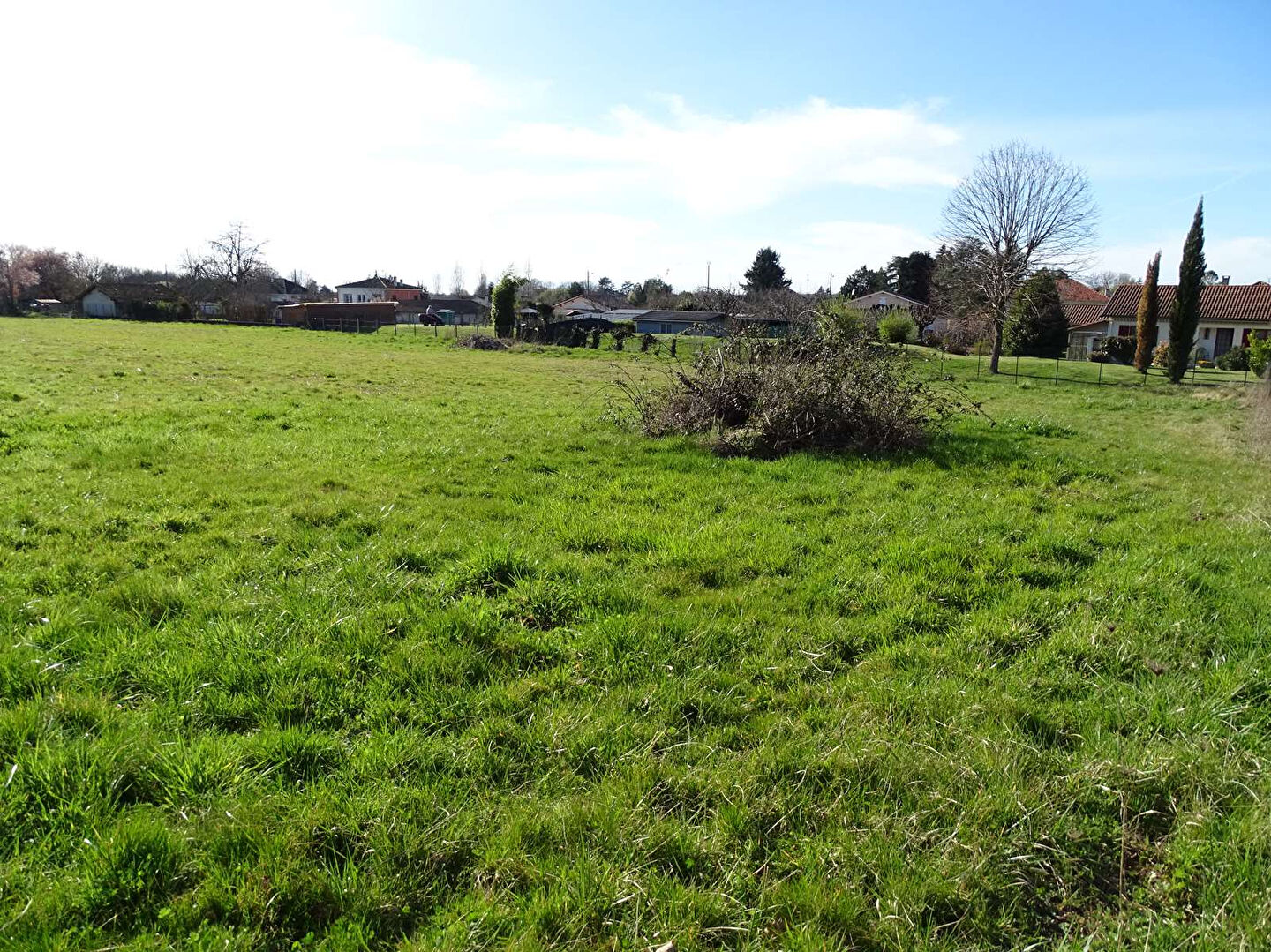 Photo Terrain Mussidan 1123 m2 image 4/4