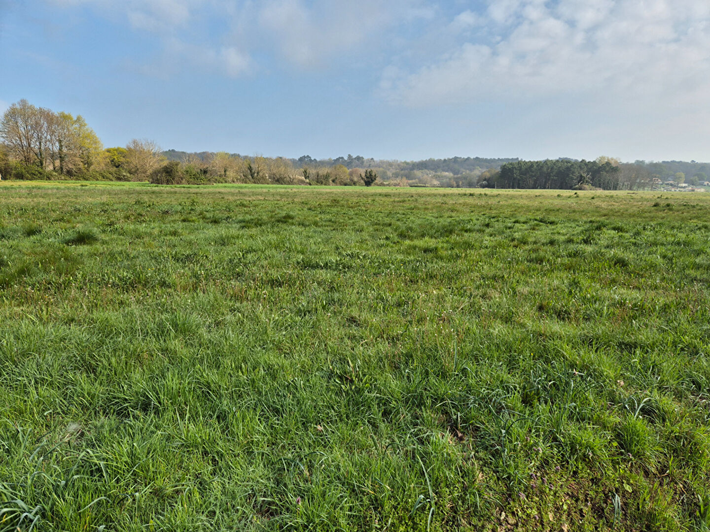 Agence immobilière de MONTPON IMMOBILIER - MONTPON IMMOBILIER - Agence de Montpon Ménestérol