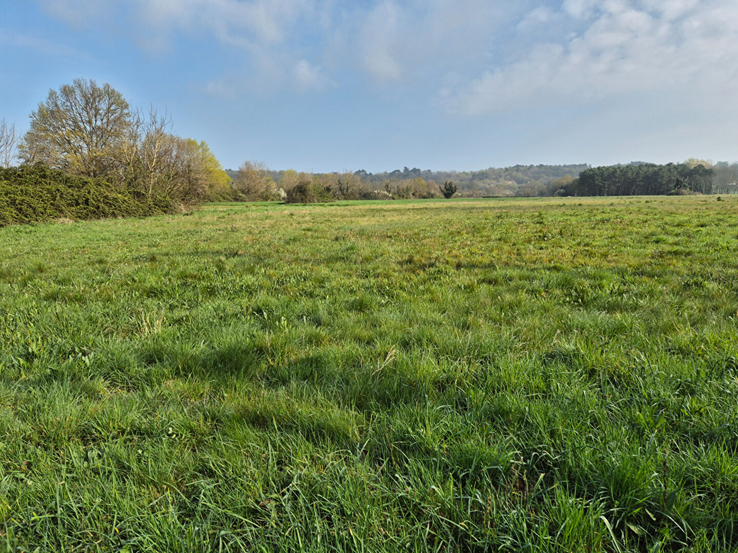 Photo Terrain Montpon Menesterol 47000 m2 dont 4000 m² constructible image 2/2