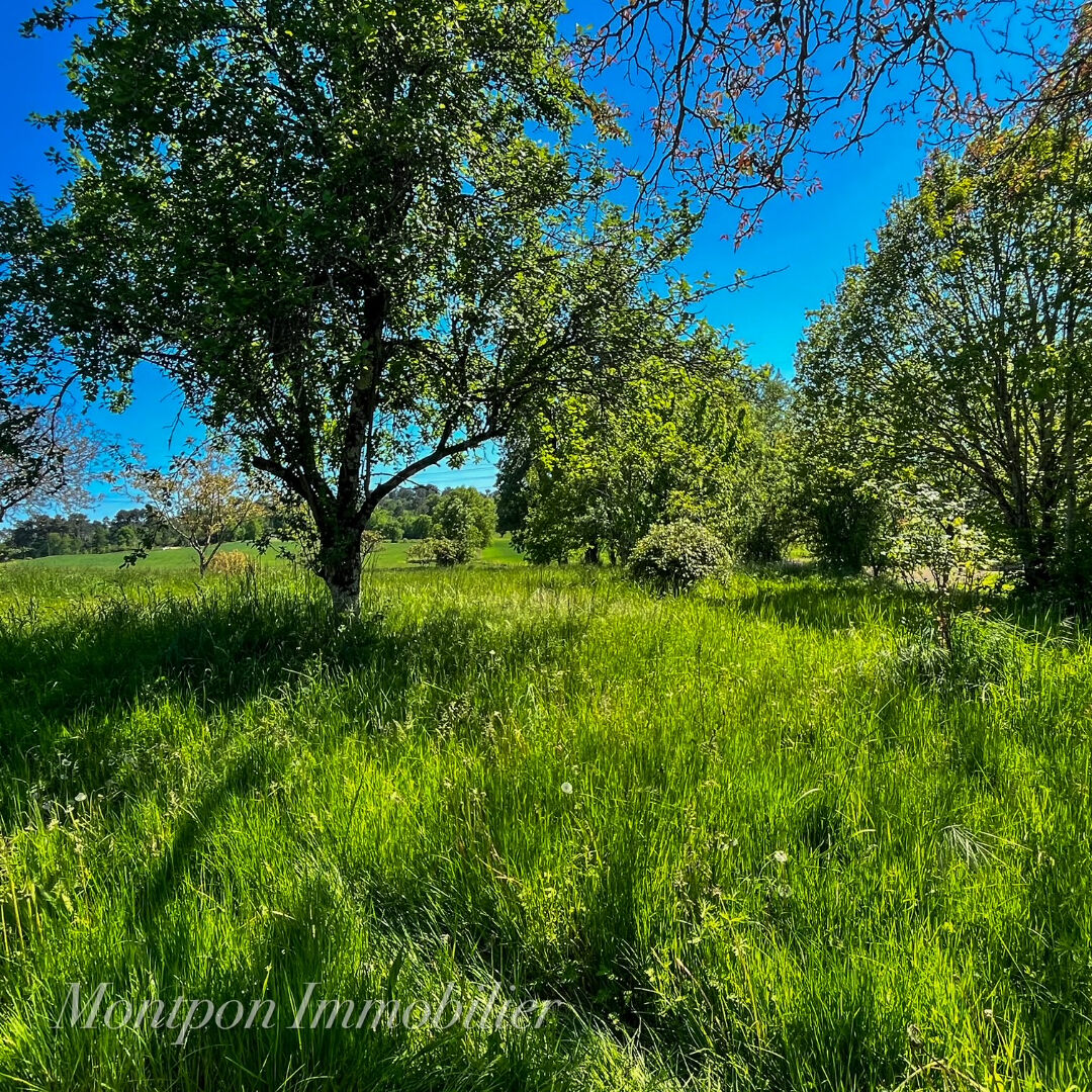 Photo Saint Martin De Gurson image 6/6