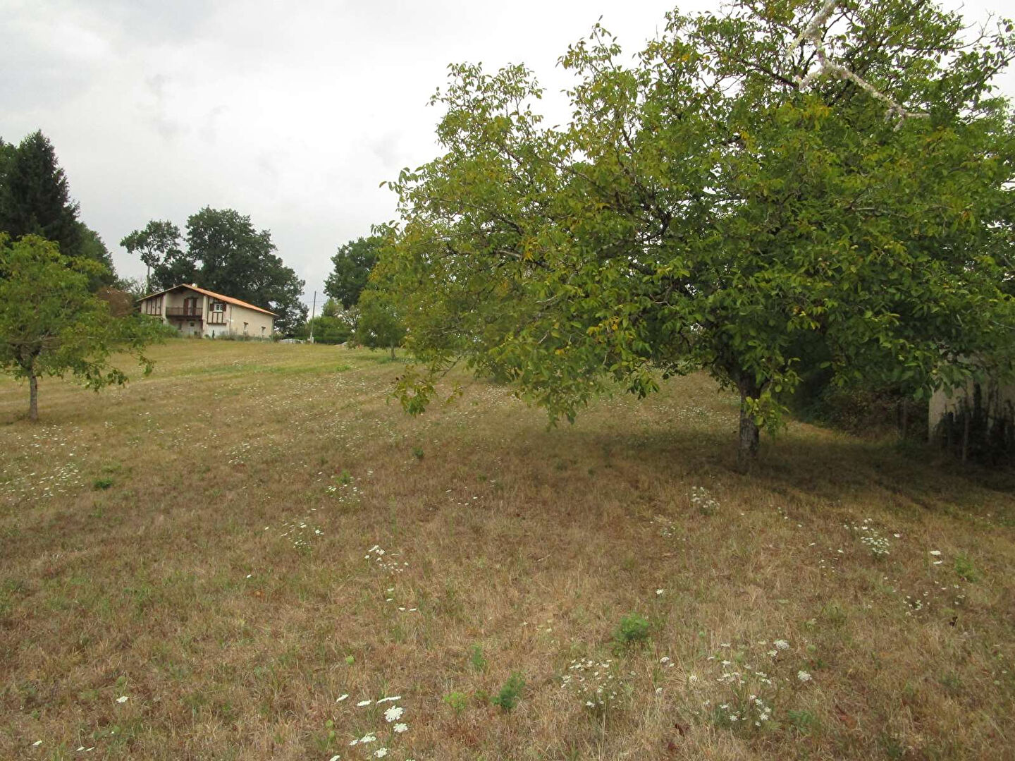 Agence immobilière de MONTPON IMMOBILIER - MUSSIDAN IMMOBILIER - Agence de Mussidan