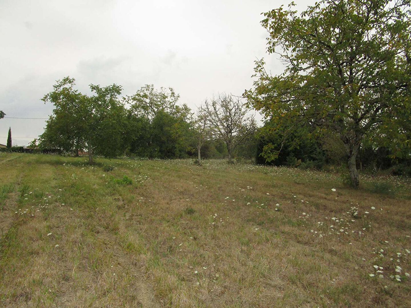 Photo Terrain Douzillac 2482 m2 image 2/5