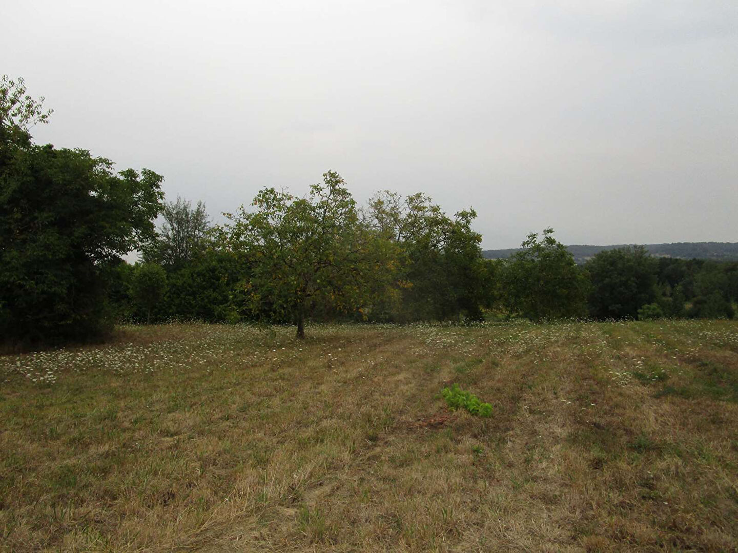 Photo Terrain Douzillac 2482 m2 image 4/5