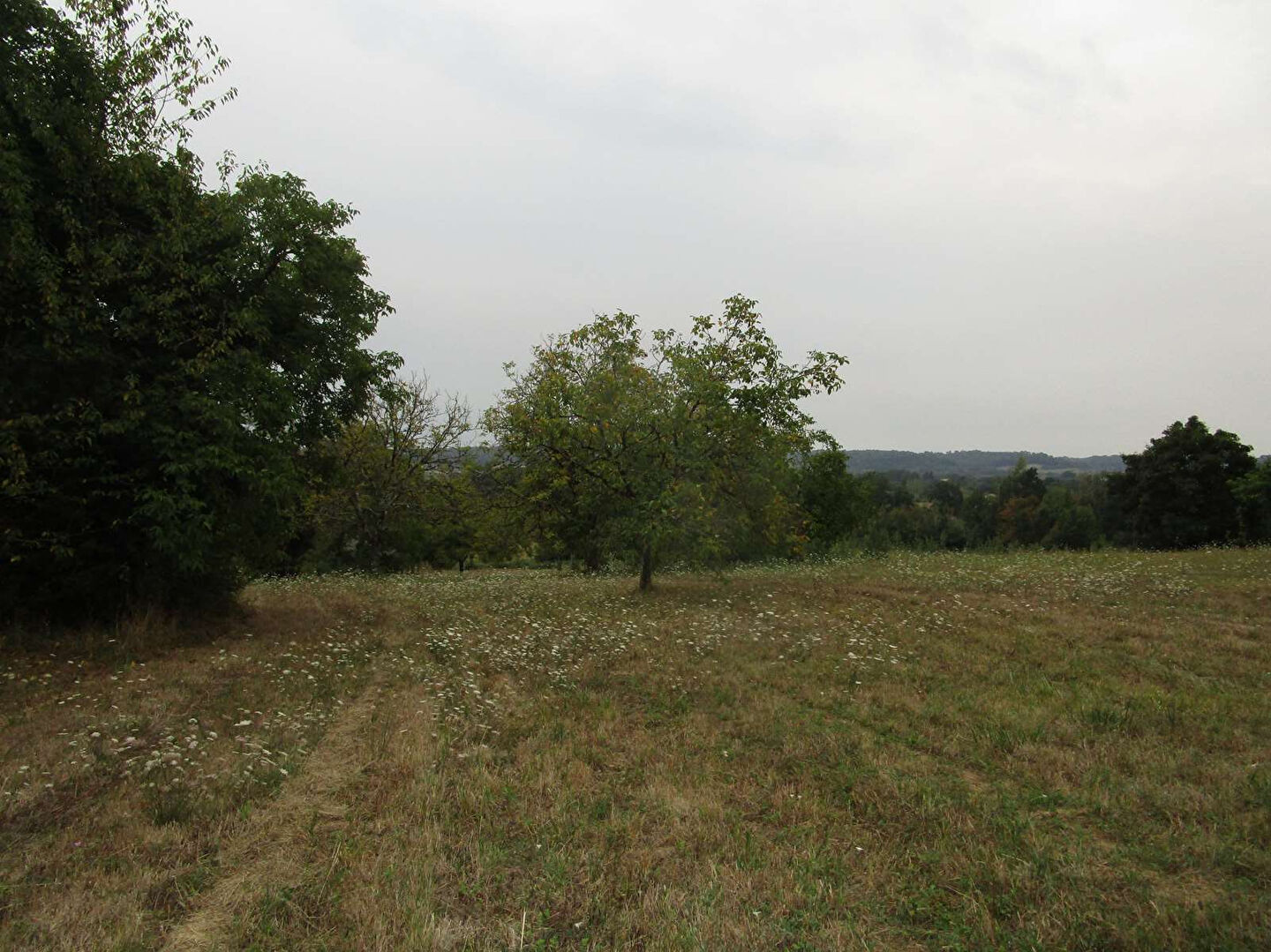 Photo Terrain Douzillac 2482 m2 image 5/5