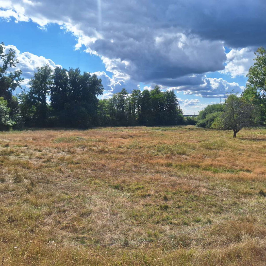 Terrain Saint Medard De Mussidan 2466 m2