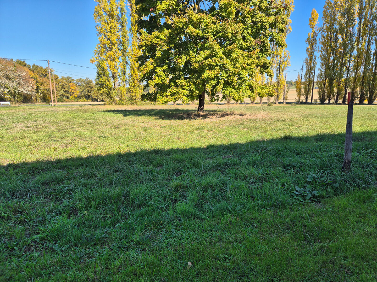 Photo Maison Carsac De Gurson image 2/6