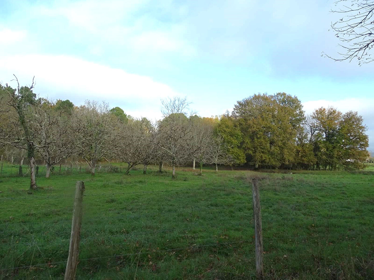 Terrain Douzillac 3972 m2