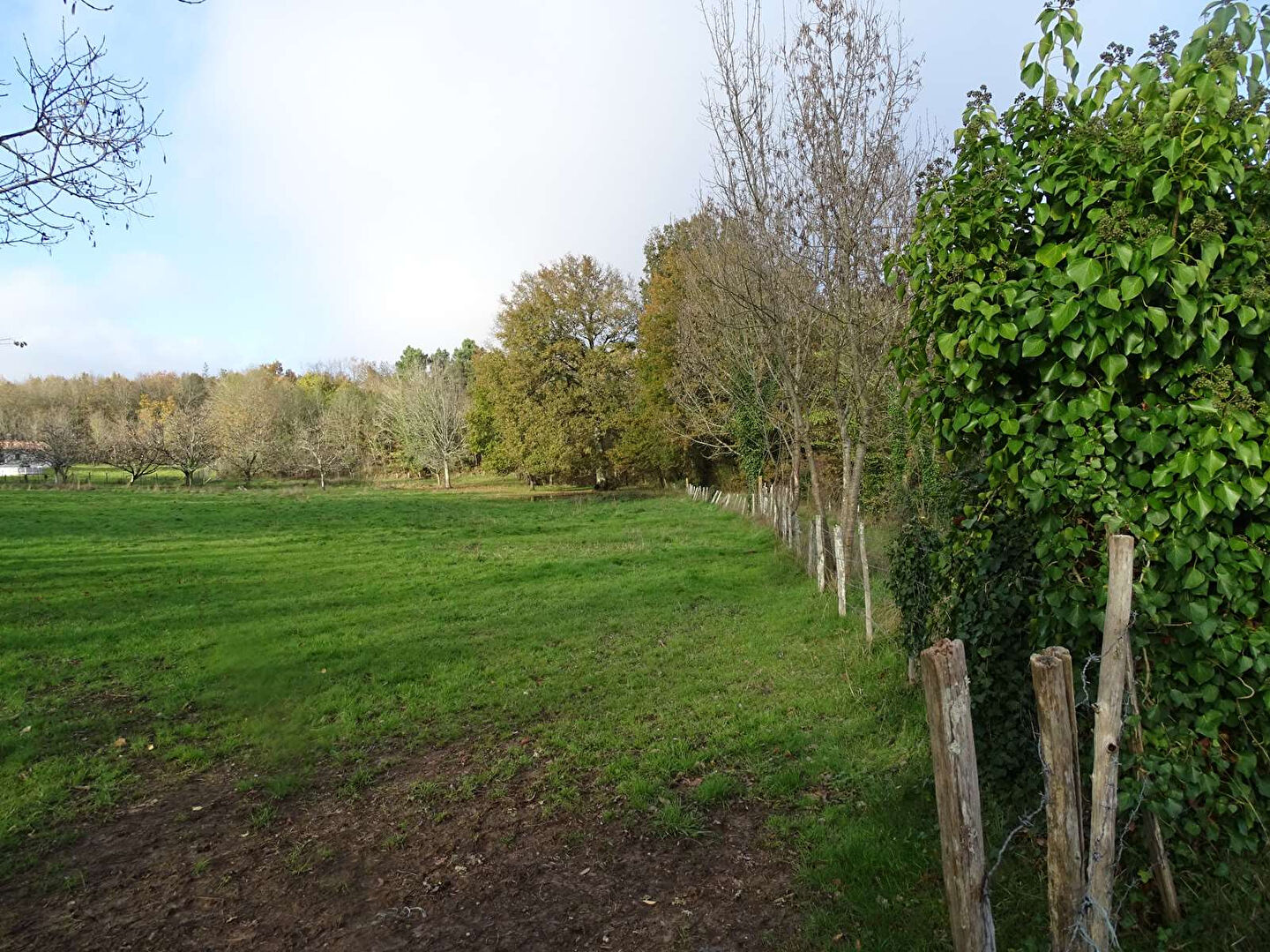 Terrain Douzillac 2380 m2